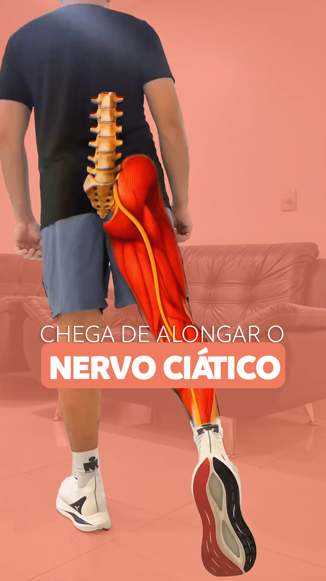 Vídeo exercícios - Sou Coluna